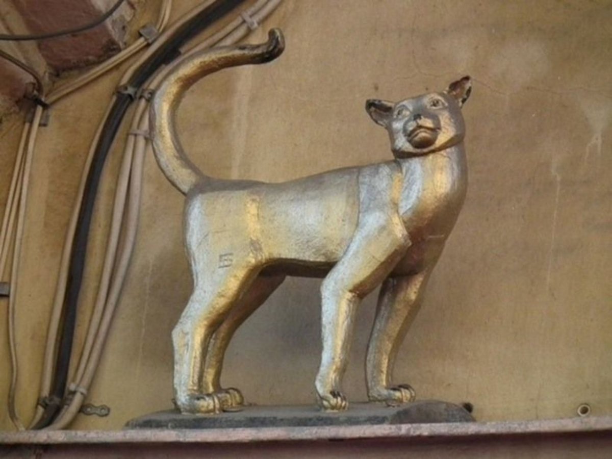 Кот Елисей и кошка Василиса в Санкт-Петербурге