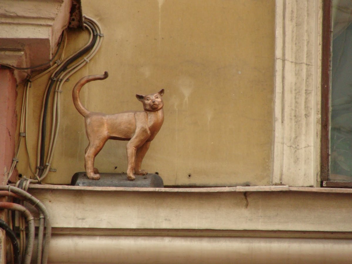 Кот Елисей и кошка Василиса в Санкт-Петербурге