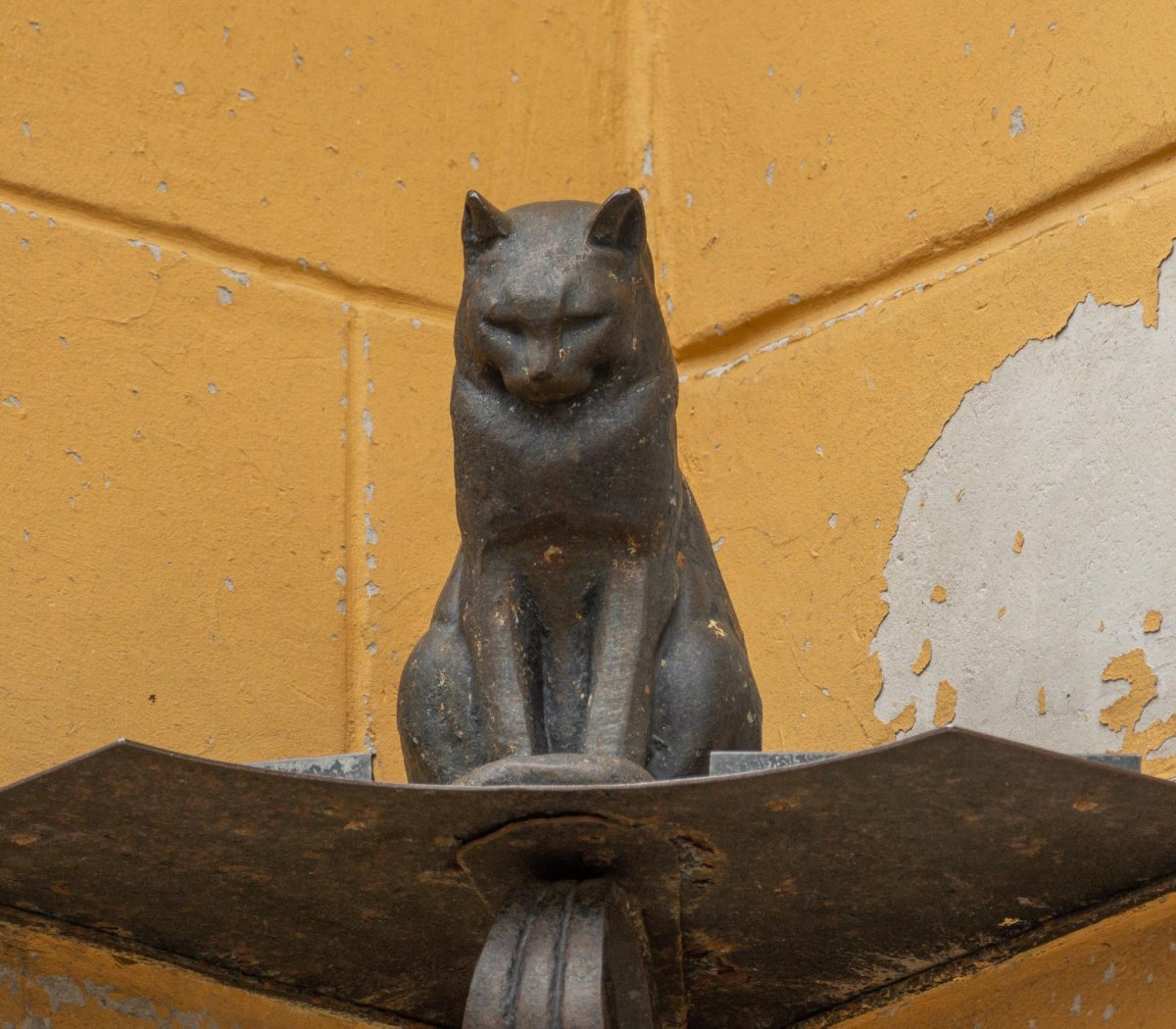 Кот Елисей и кошка Василиса в Санкт-Петербурге