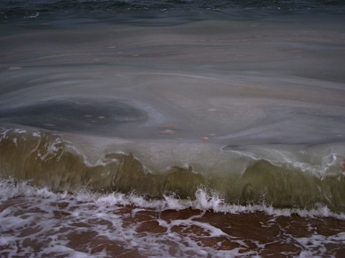 Черное море вода