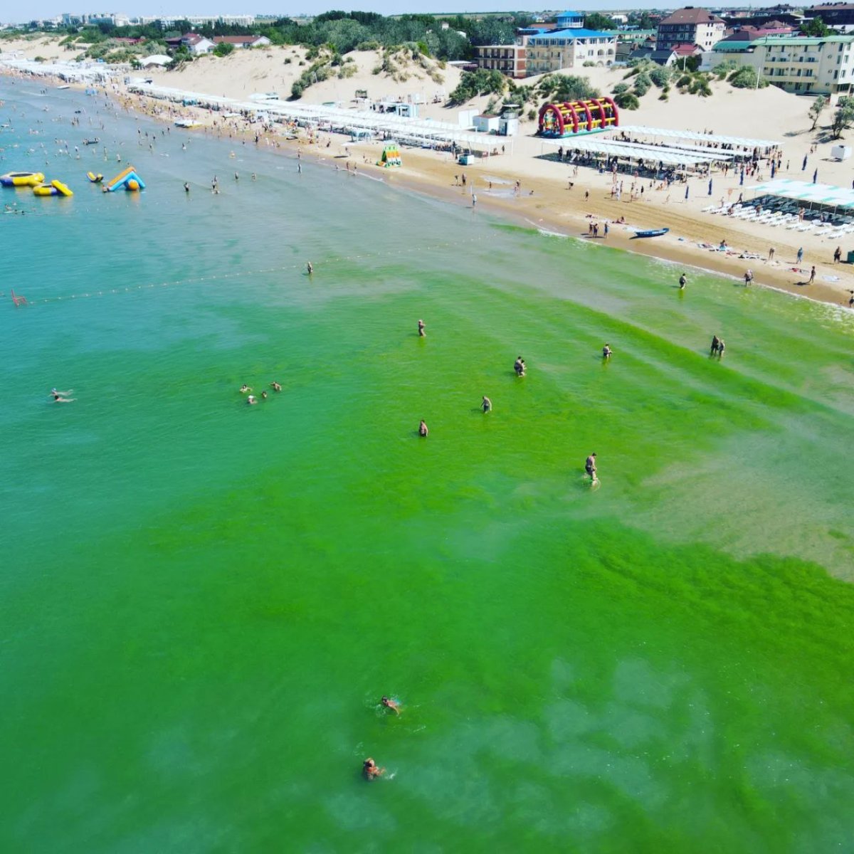 Море в Анапе зеленое 2022 Анапа