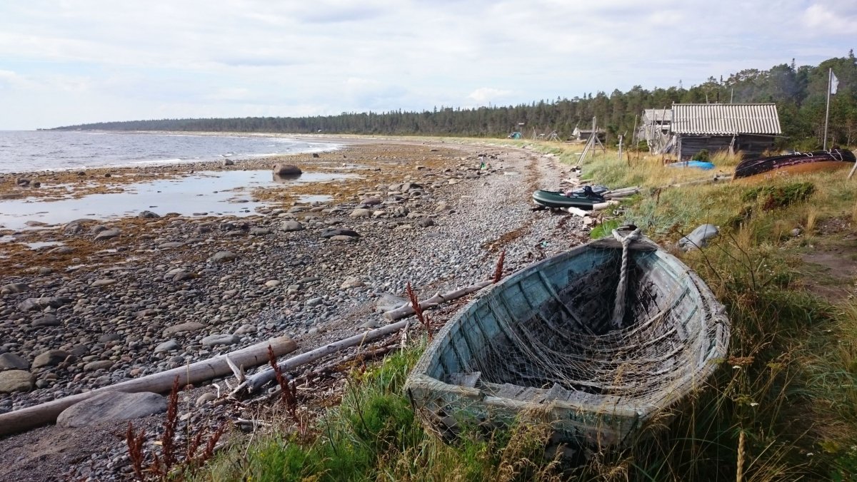 Белое море Тоня Гремяха