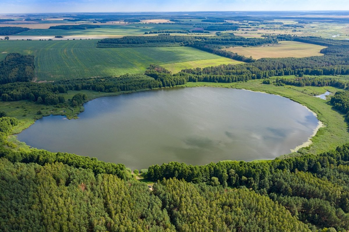 Озеро Тростенское Рузский район
