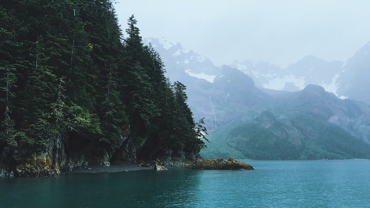 Лес и море