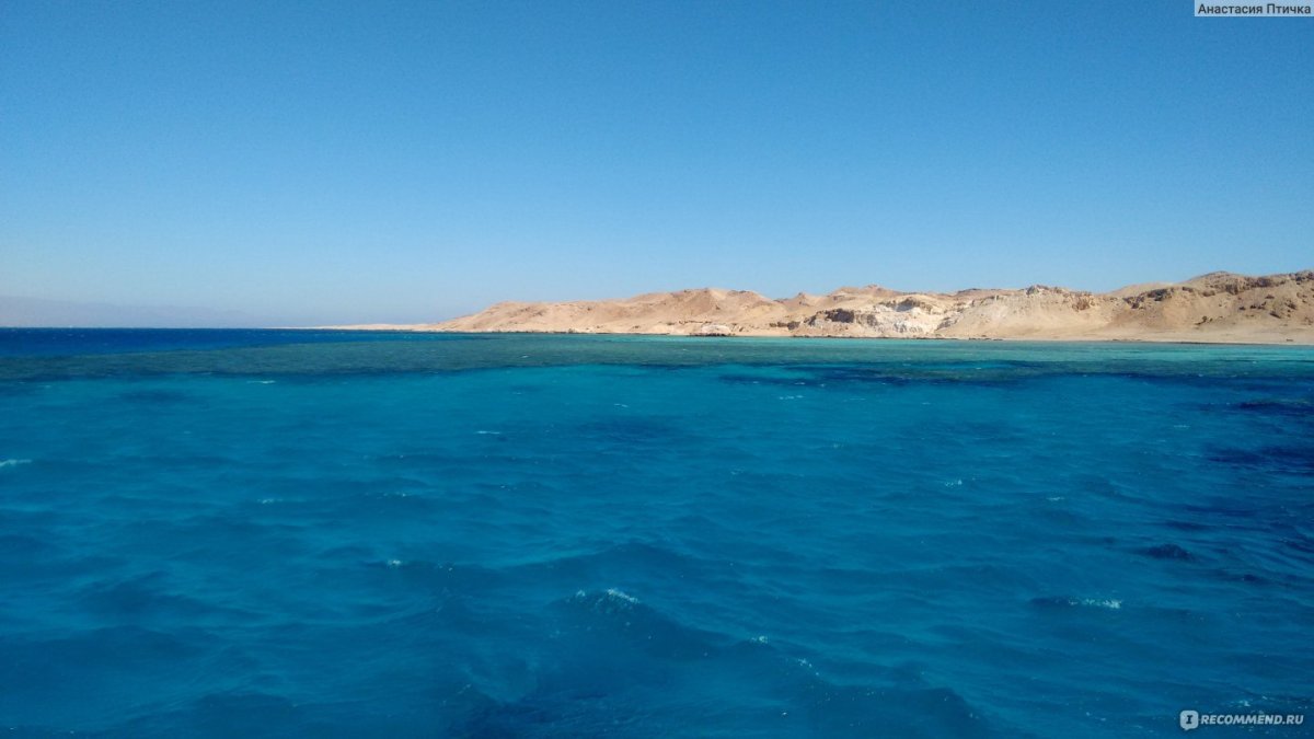 Эйлатский залив красного моря