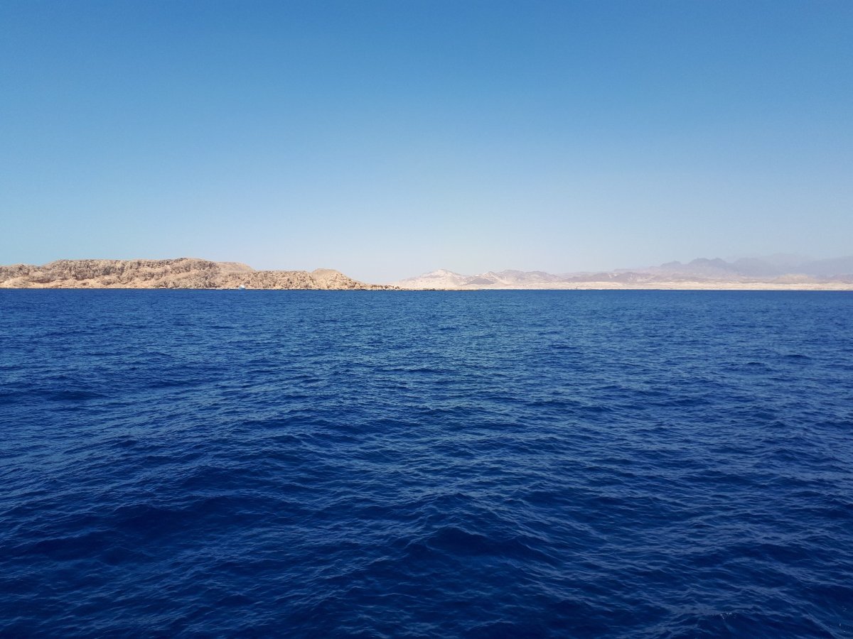 Мыс рас-ХАМРА В Красном море