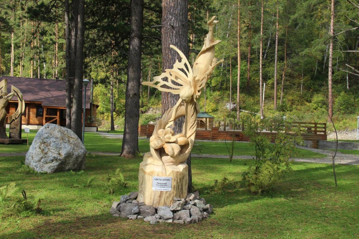Алтай парк отель бирюзовая Катунь