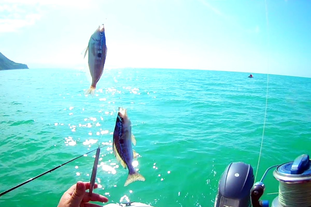 Морская рыбалка черное море