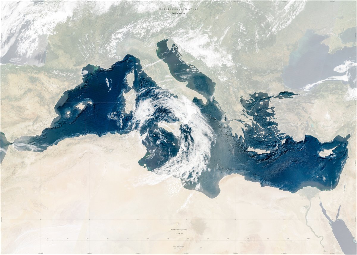 Tritia Mediterranean Sea
