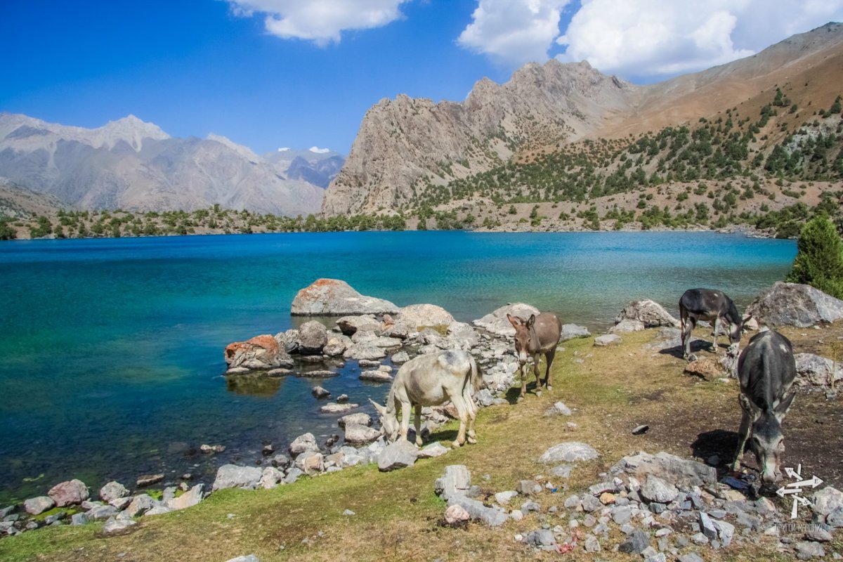 Аманкутан Самарканд горы
