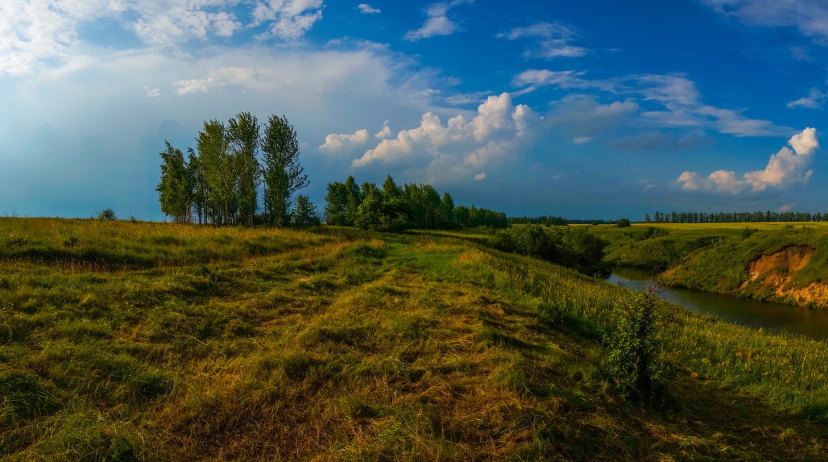 Центральное Черноземье природа