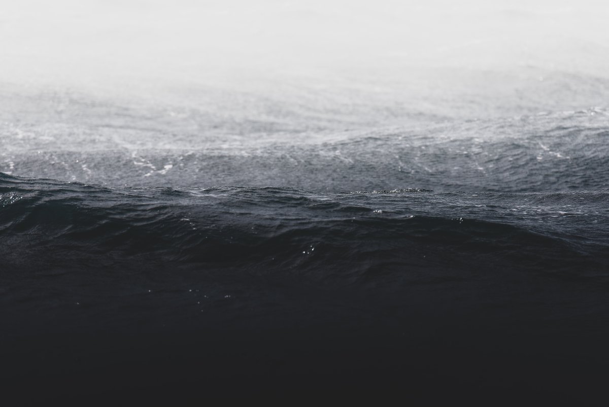Черная вода