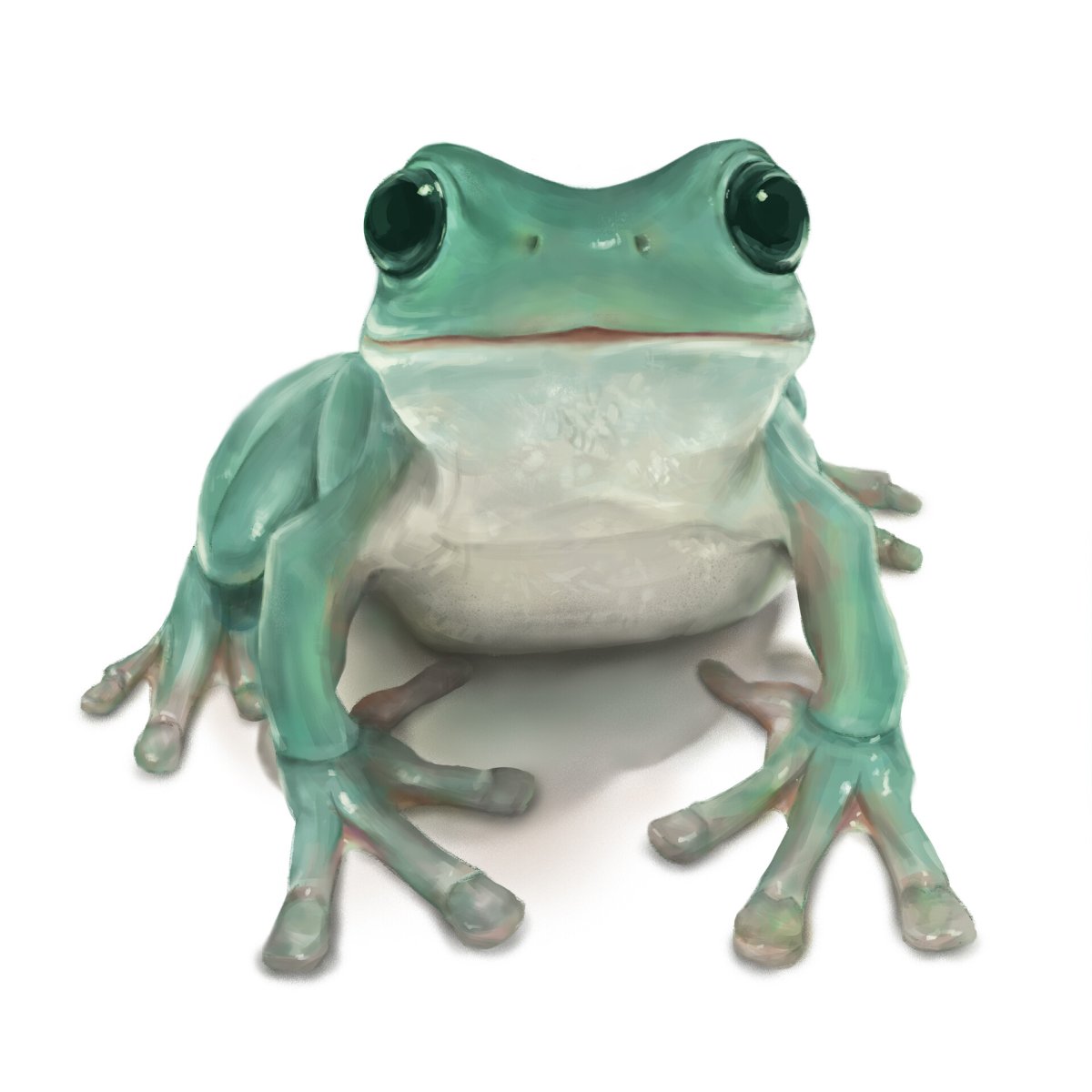 Милые лягушки