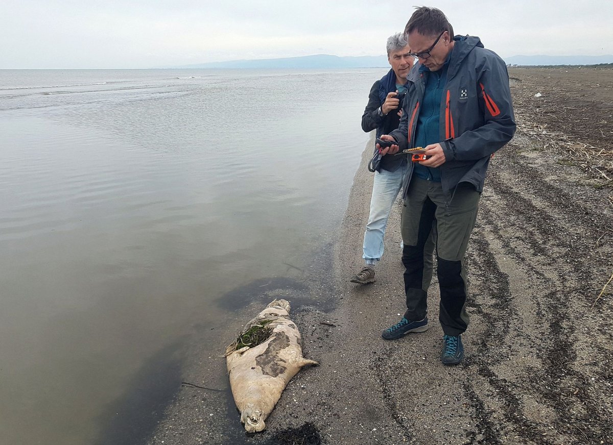 Находки в Каспийском море