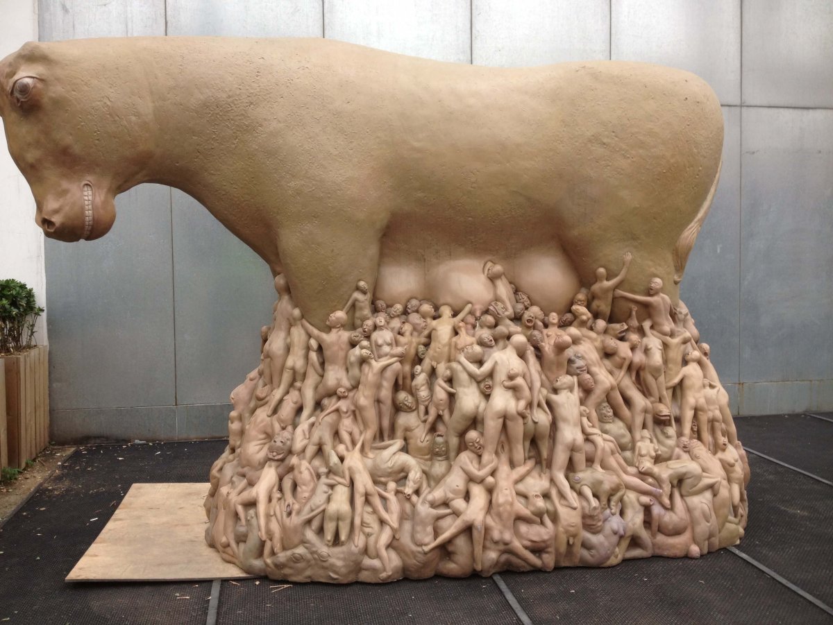 Коровы в Китае