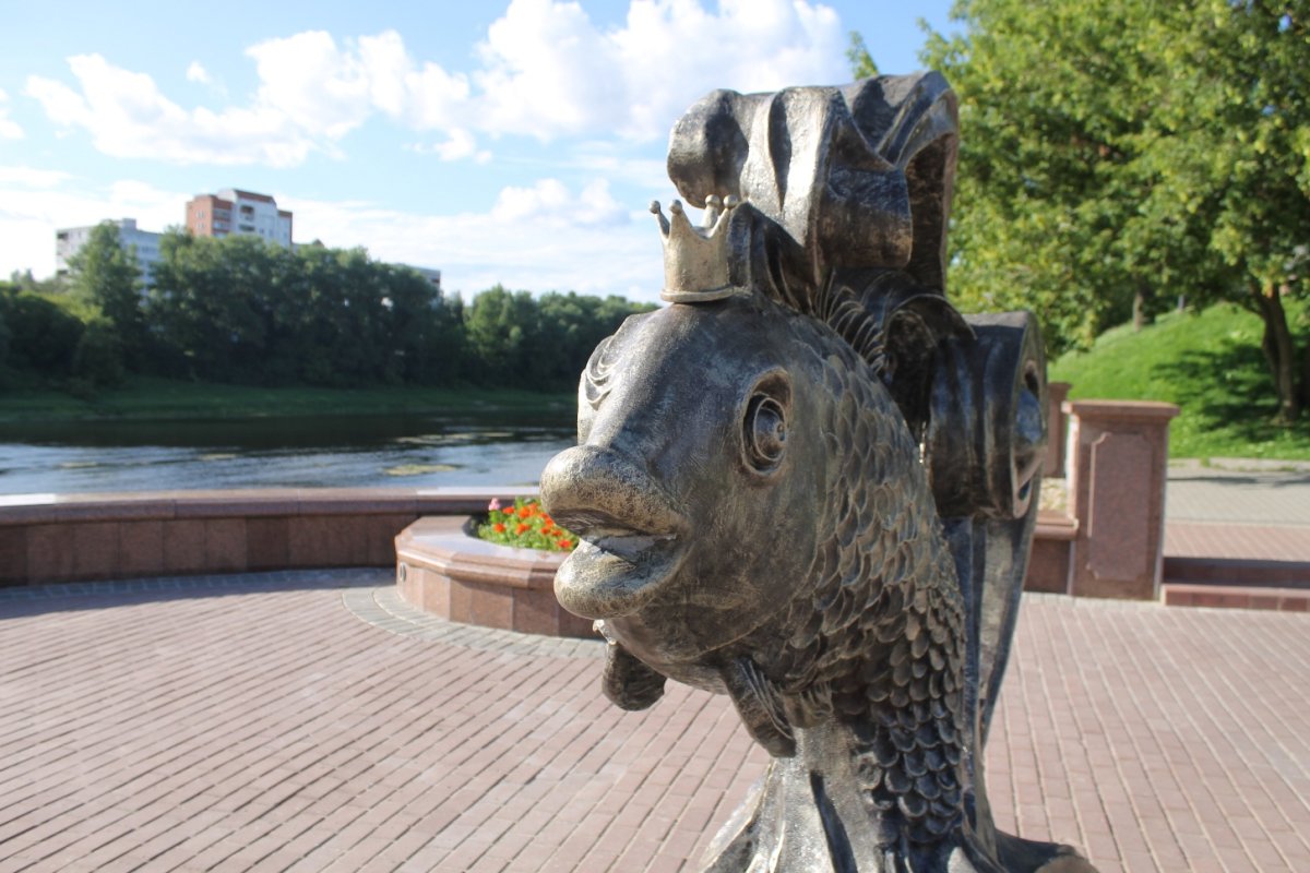 Витебск Золотая рыбка