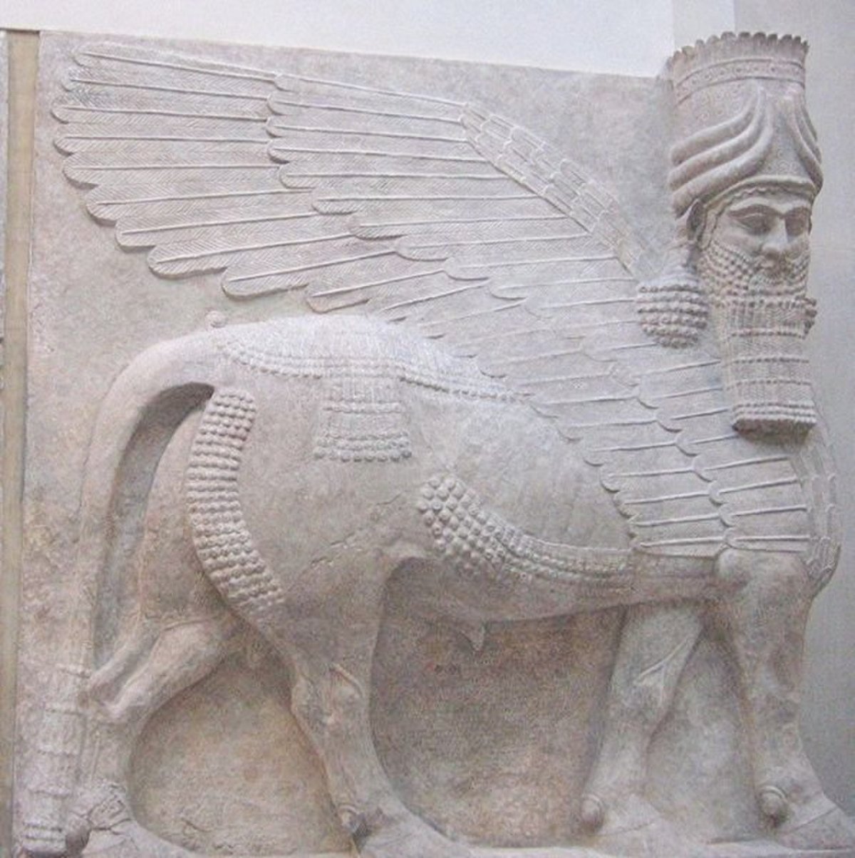 Крылатый бык. Шеду Ассирия Лувр. Ламассу Ассирия. Крылатый бык Шеду из дворца Саргона II.. Крылатые быки Ассирии.