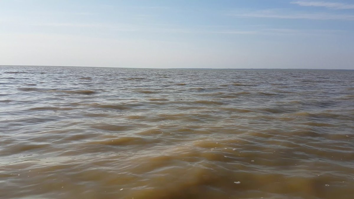 Азовское море грязное