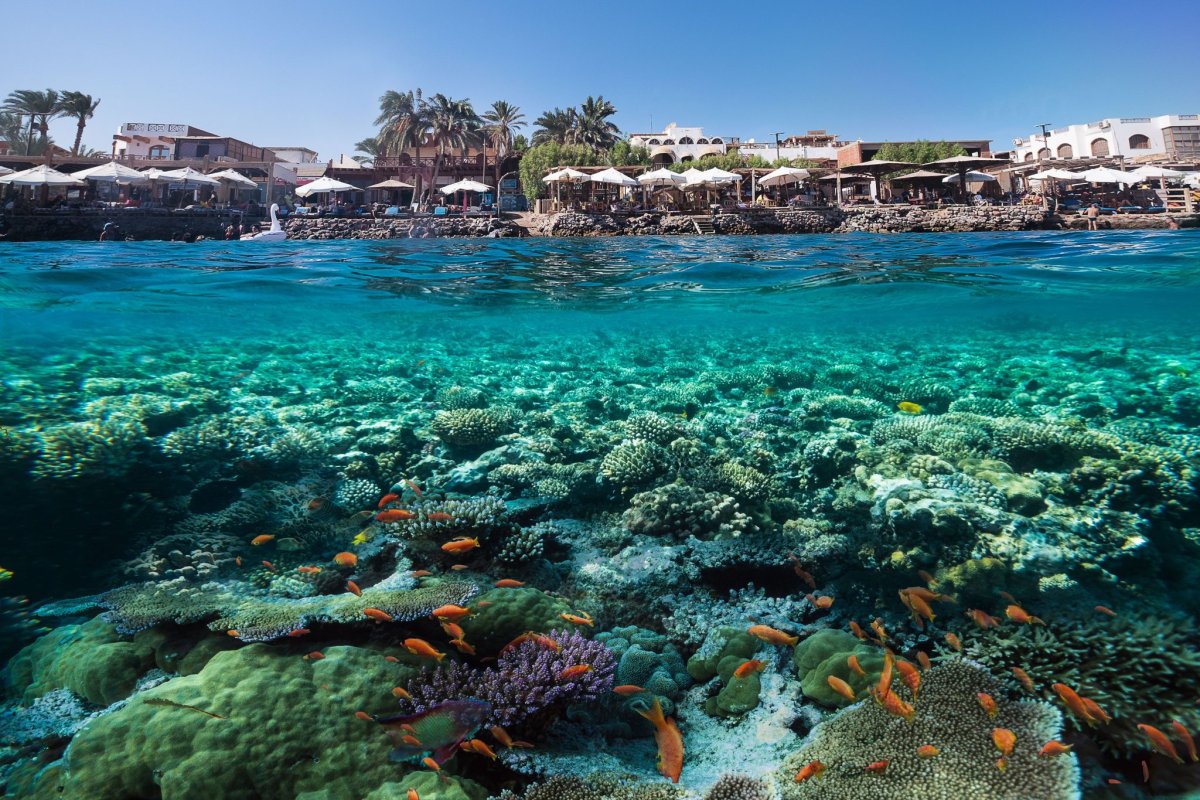 Шармаль Шейх море