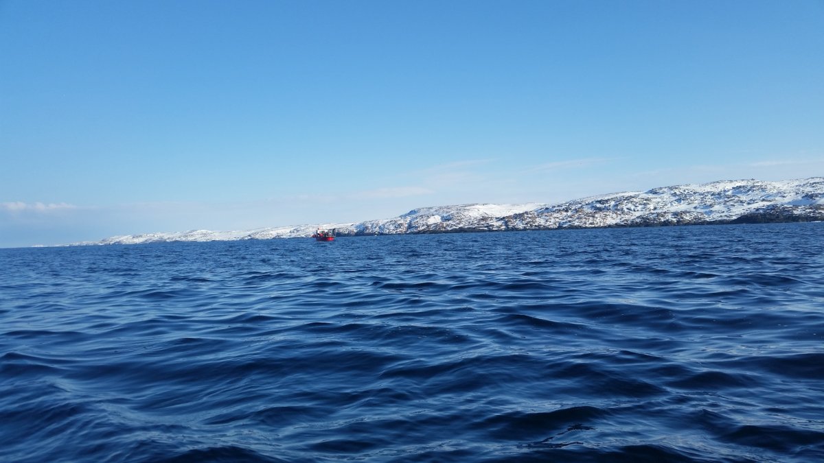 Морская прогулка Териберка Баренцево море