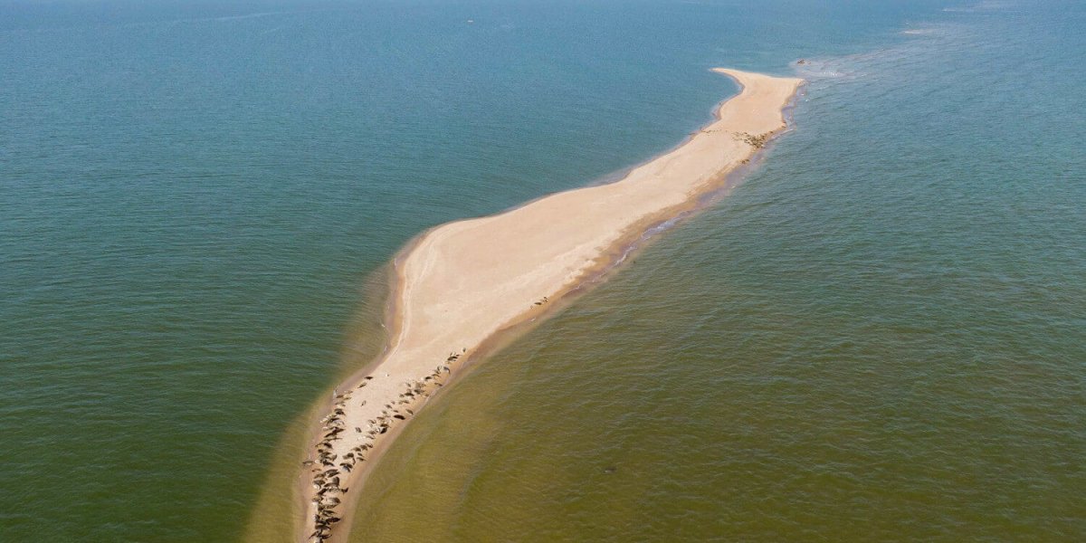 Остров жемчужный Каспийское море