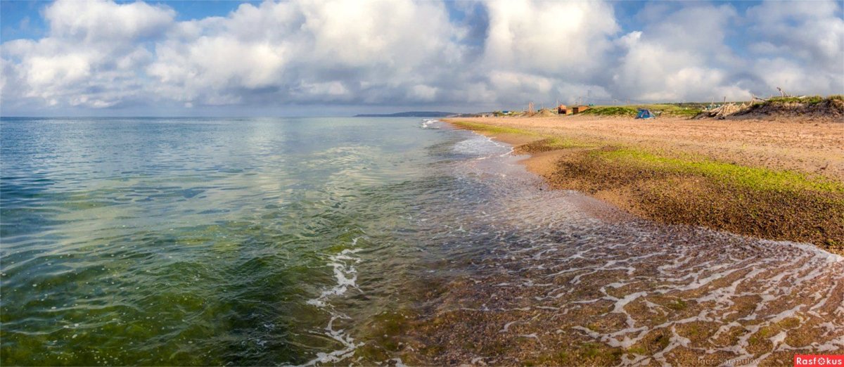 Таманский залив черного моря