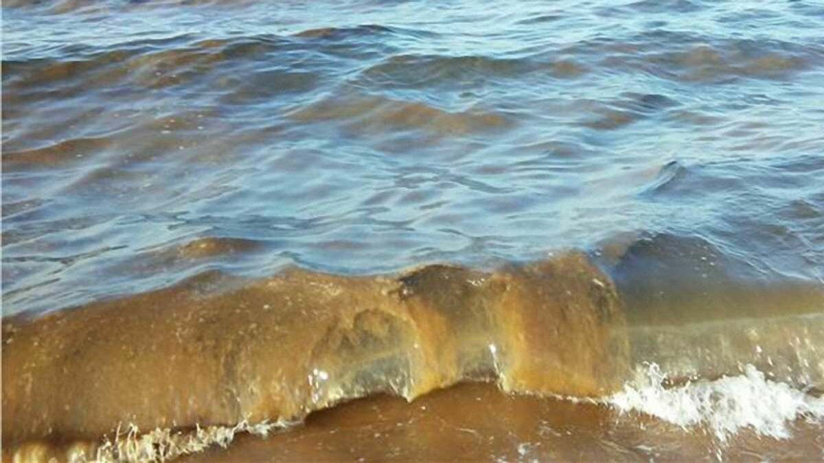 Азовское море грязная вода
