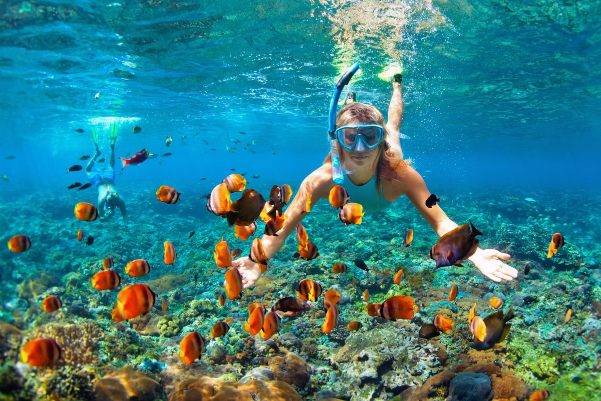Красное море снорклинг