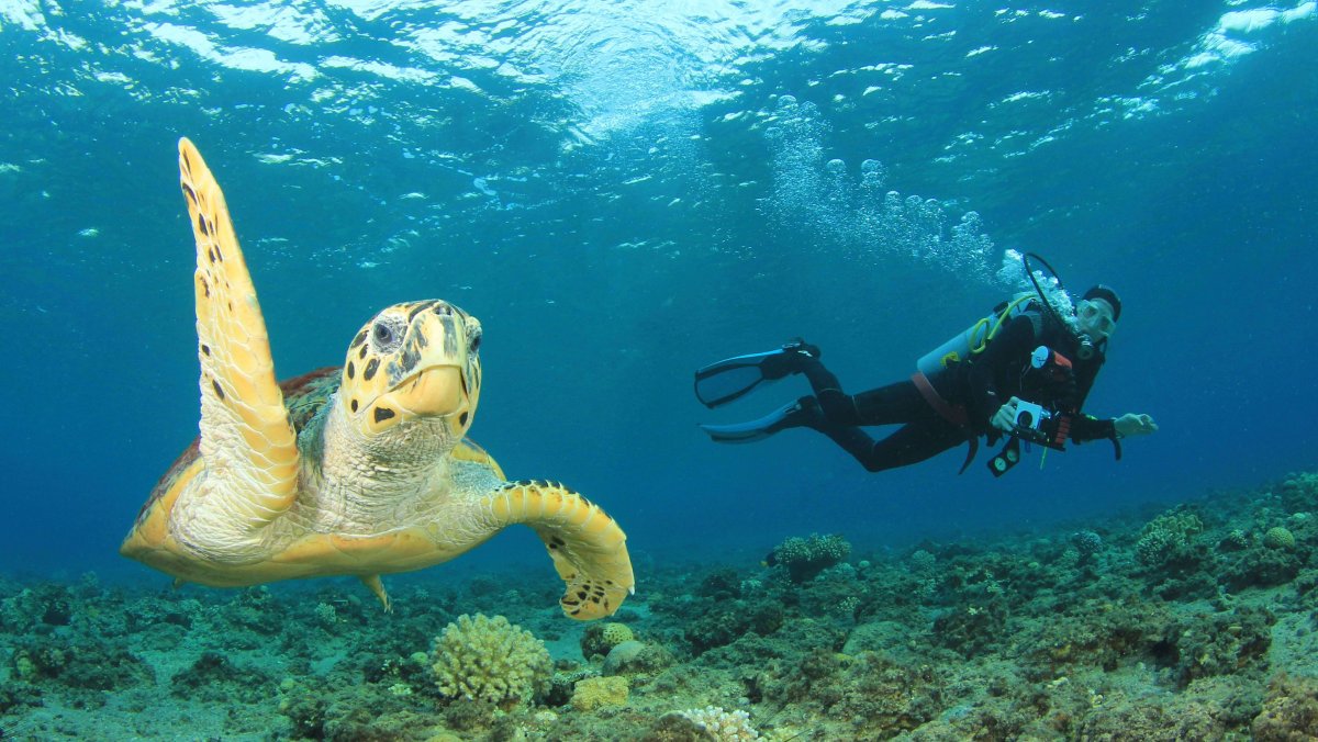 Red Sea Divers Hurghada