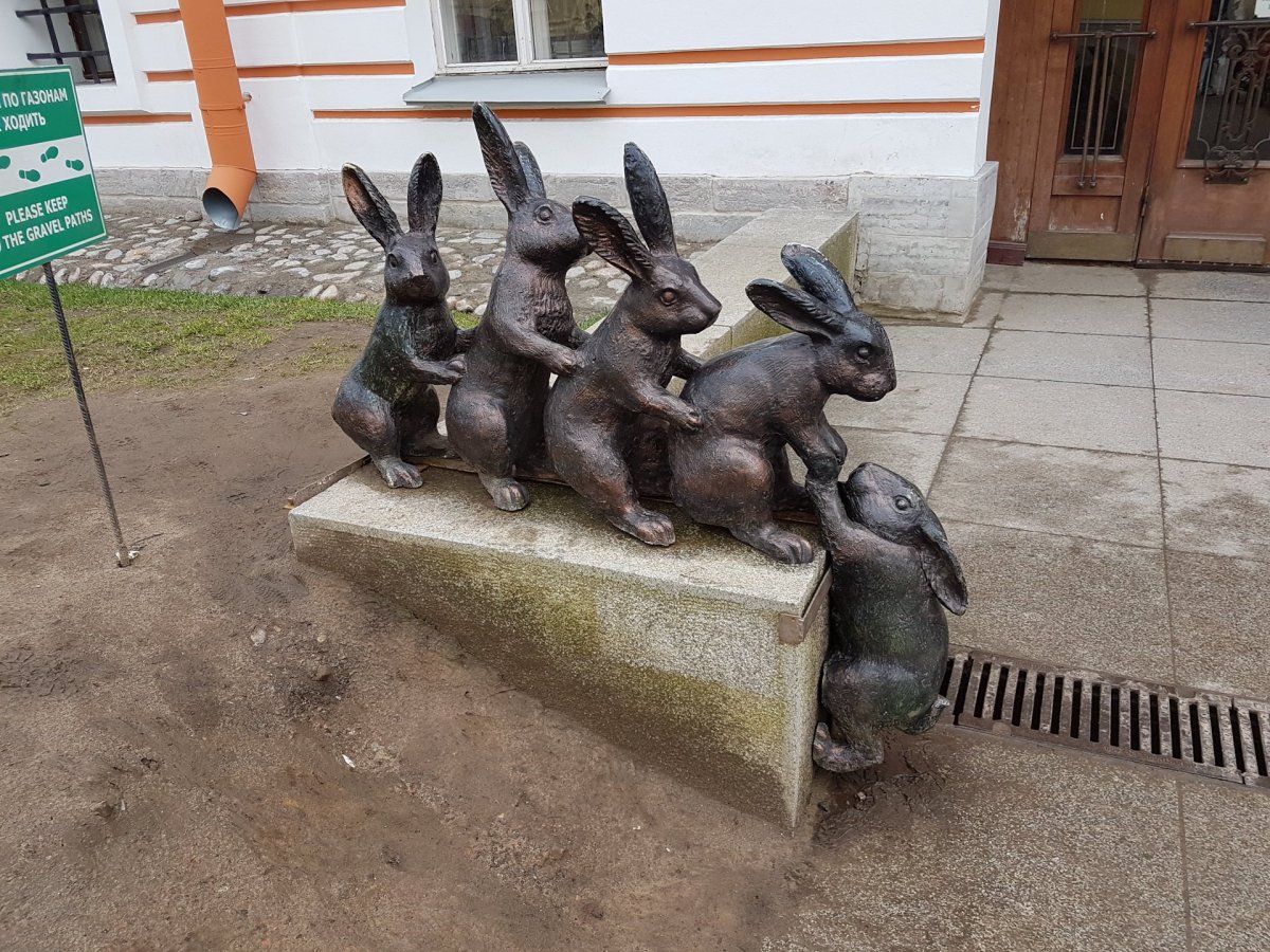 Заяц на скамейке в Петропавловской крепости