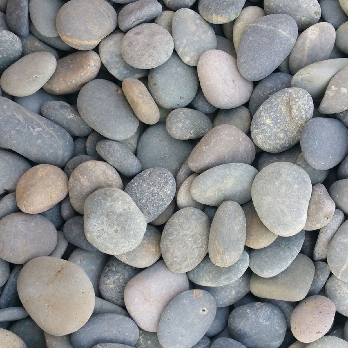 The Rock and the Pebble