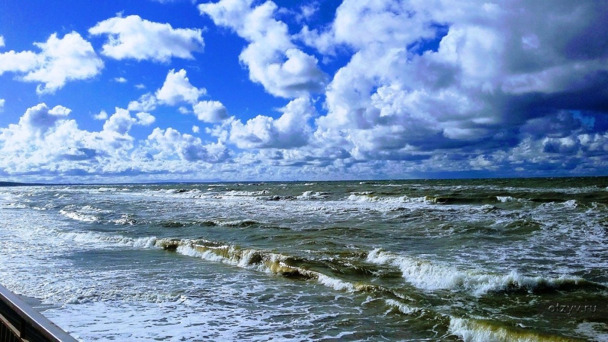Калининград Балтийское море 2009