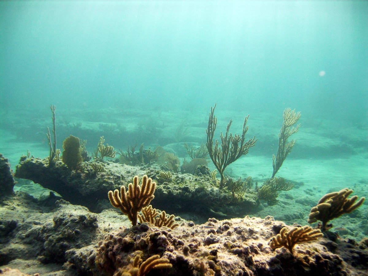 Море под водой