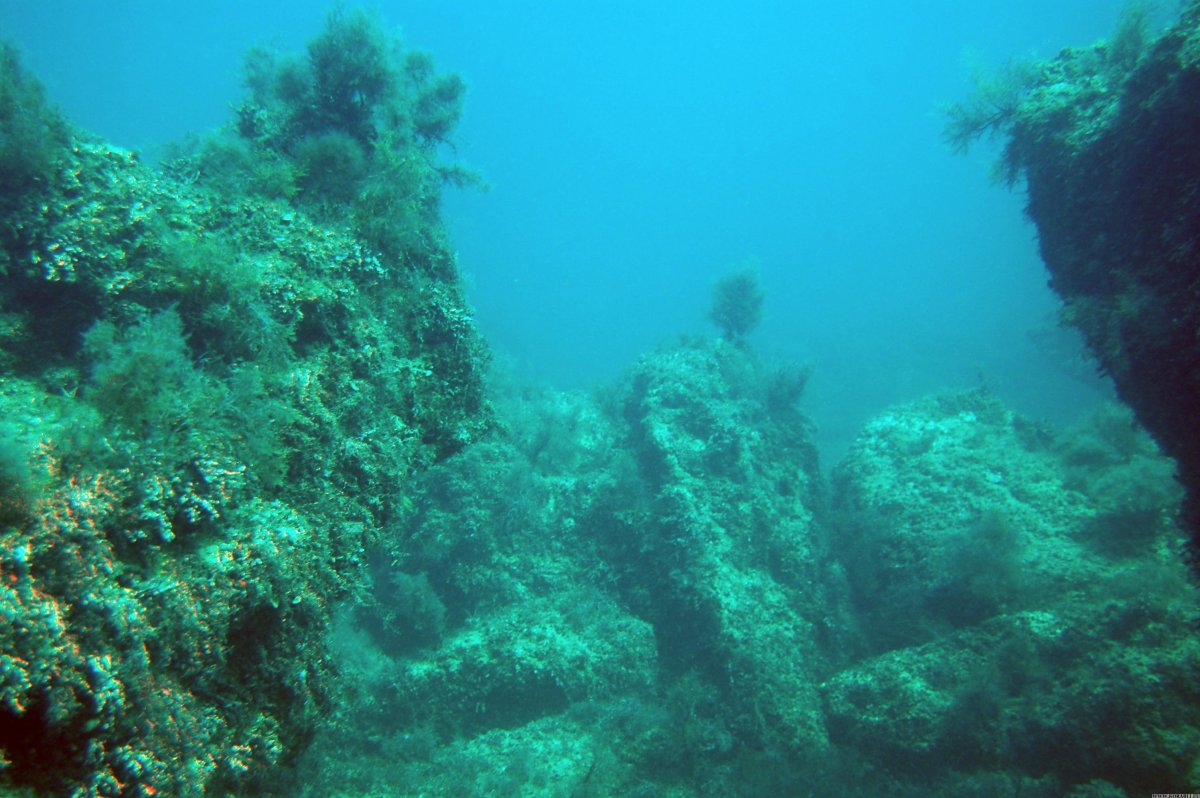 Дно черного моря сероводород