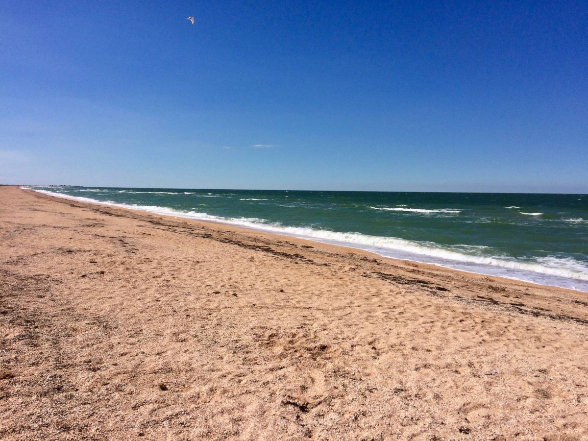 Азовское море село песочное