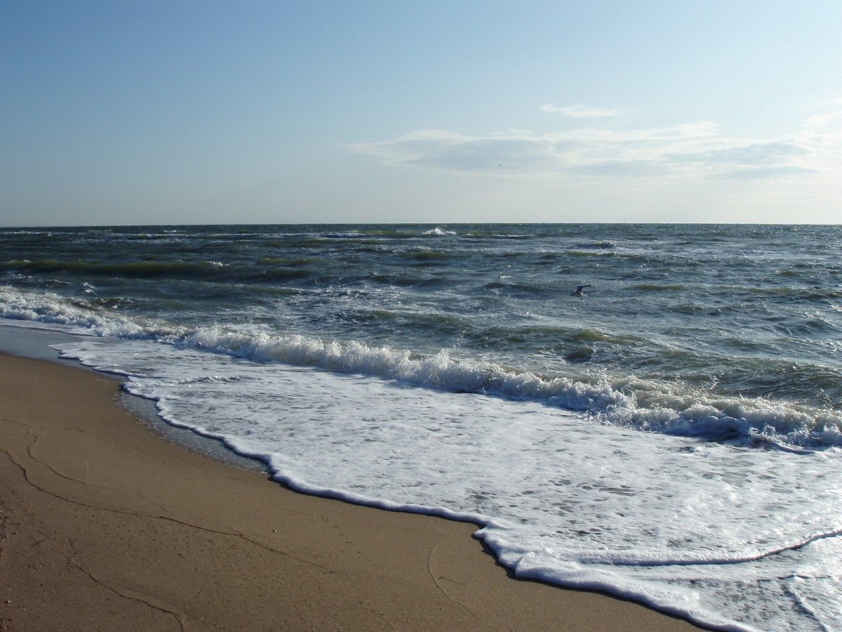 Сочи Азовское море