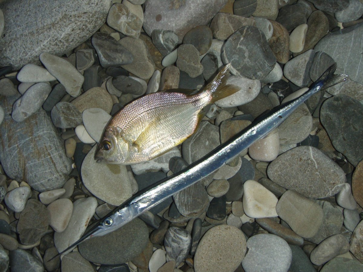 Рыбалка на черном море