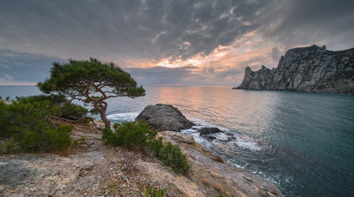 Алушта Царский пляж