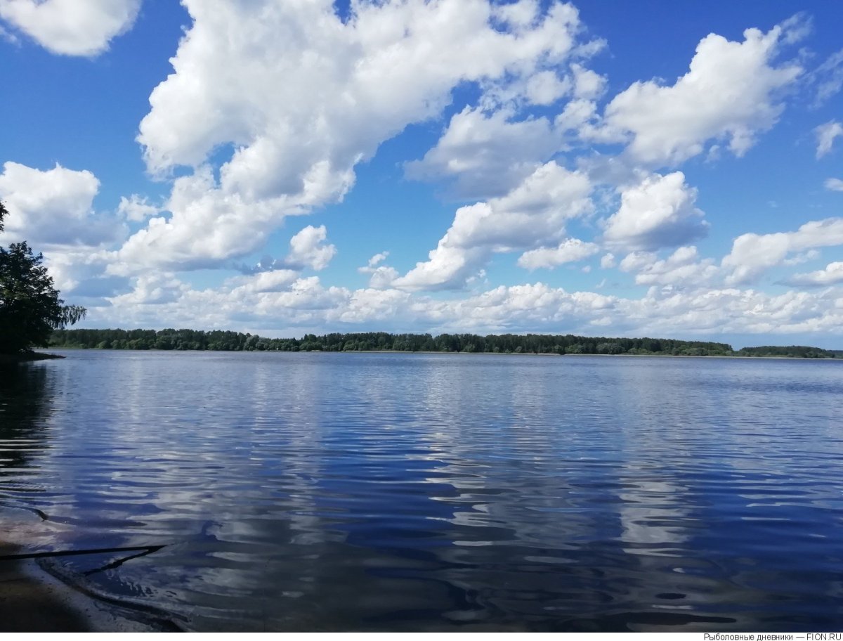 Истринское водохранилище Лечищево