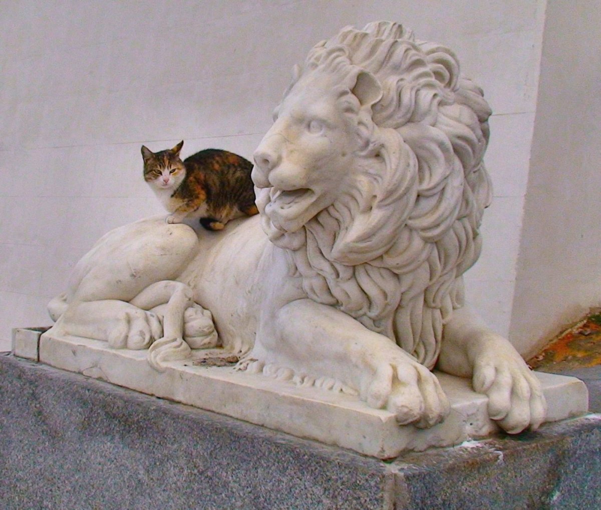 Кот Лев