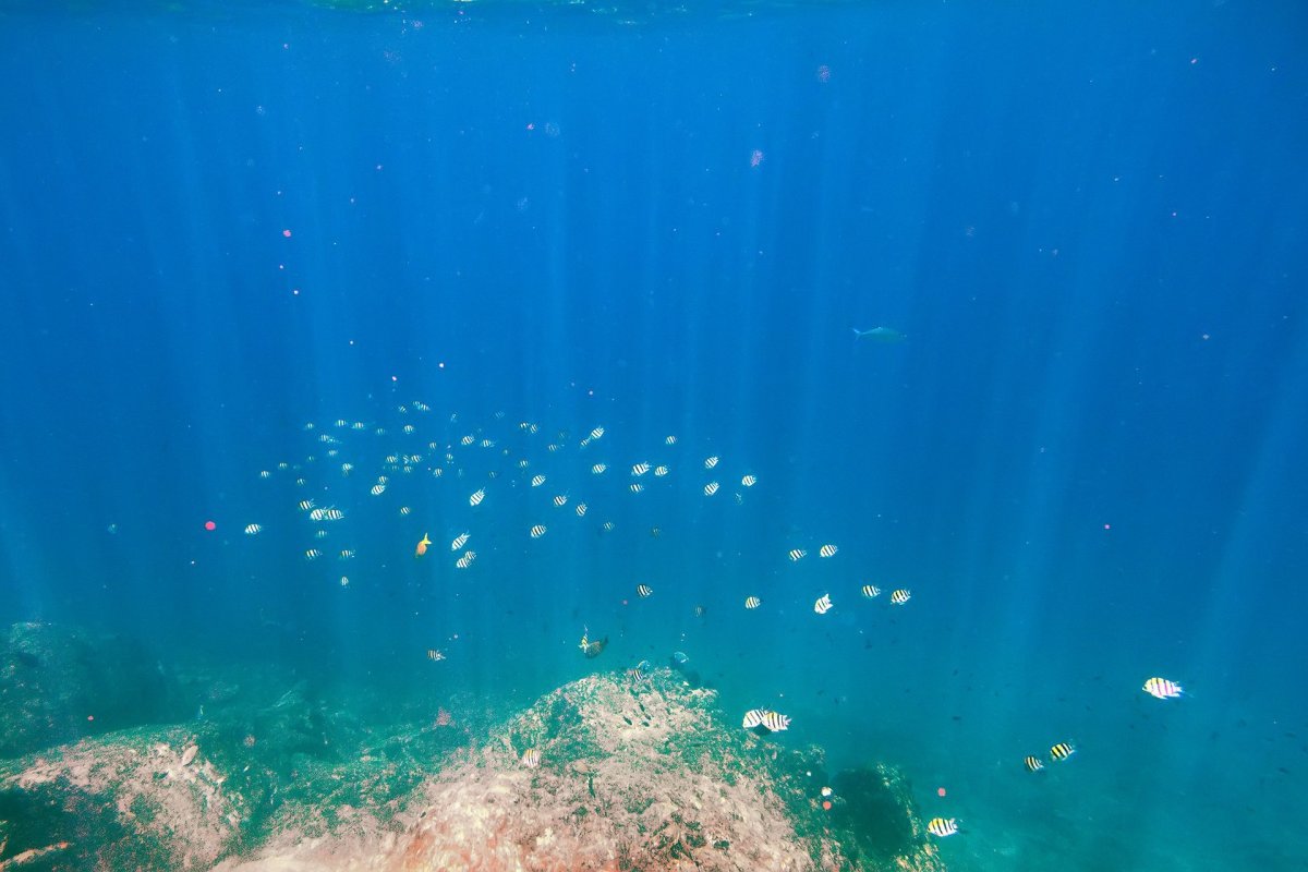Край океана под водой