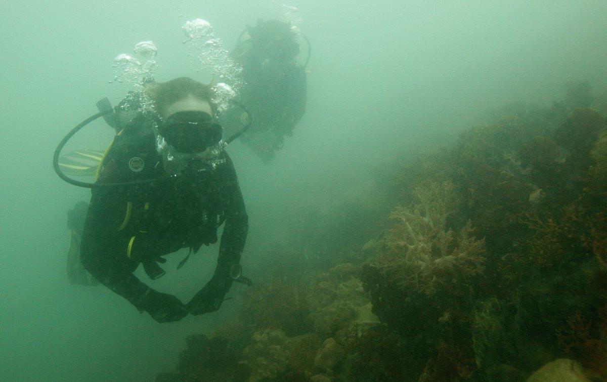 Дно Каспийского моря