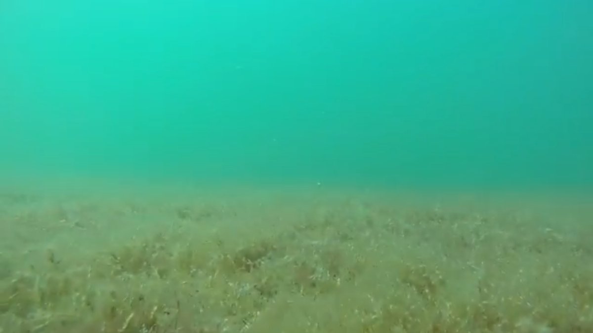 Дно Каспийского моря