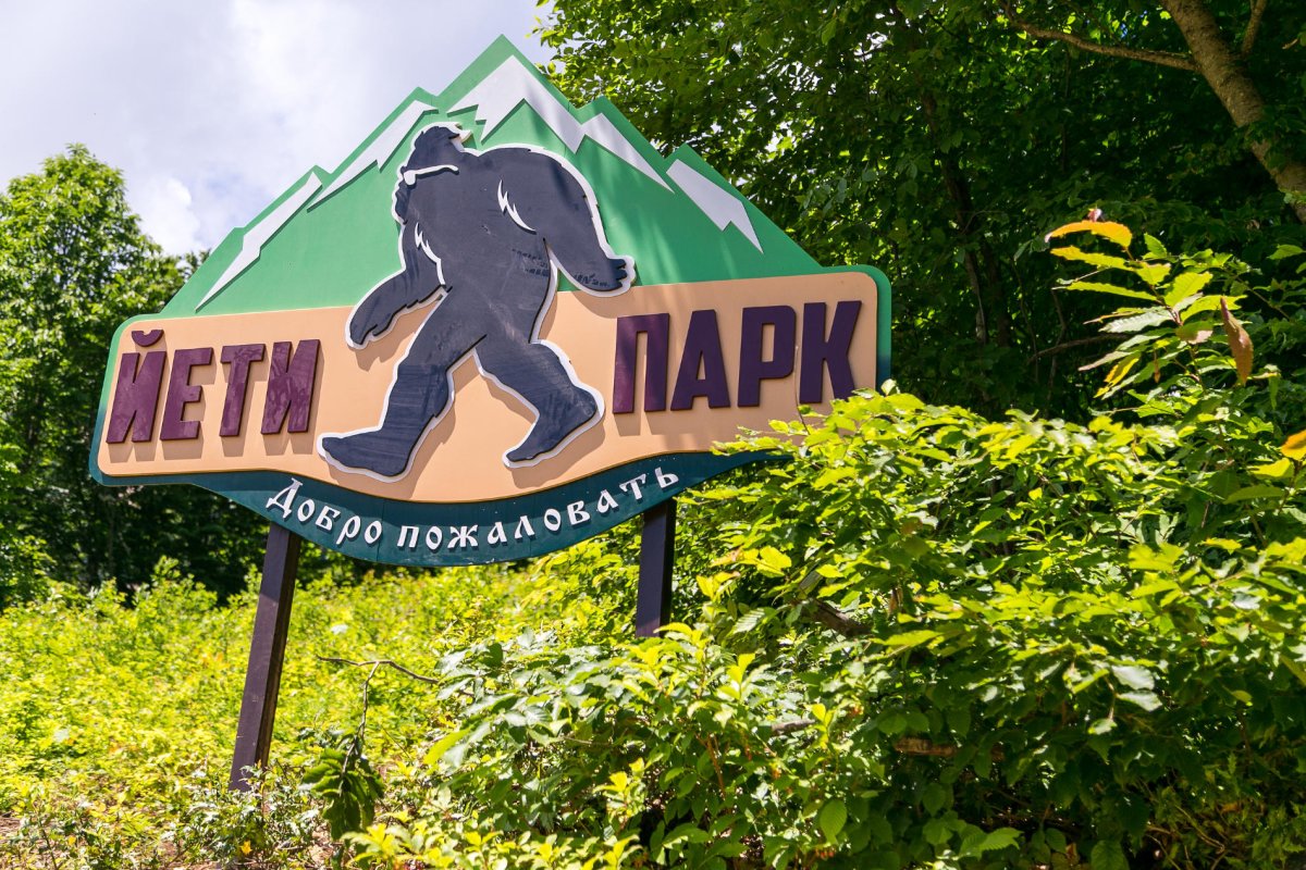 Иете парк красная Поляна