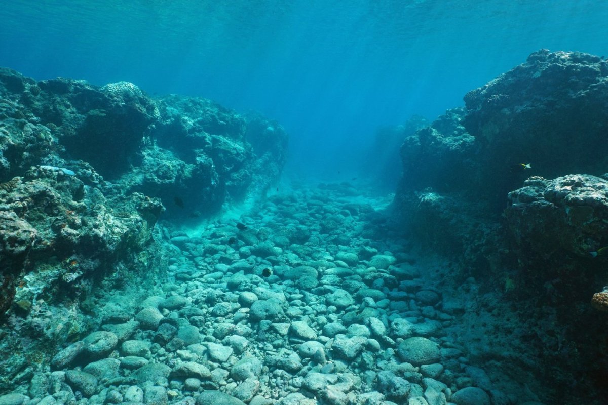 Ландшафт морского дна