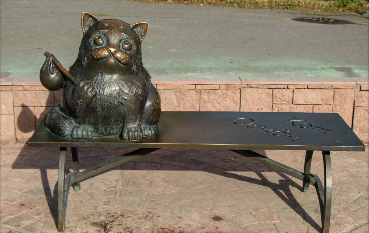 Кот семён Мурманск