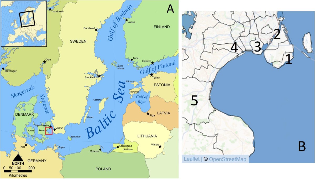 Отметка Балтийского моря
