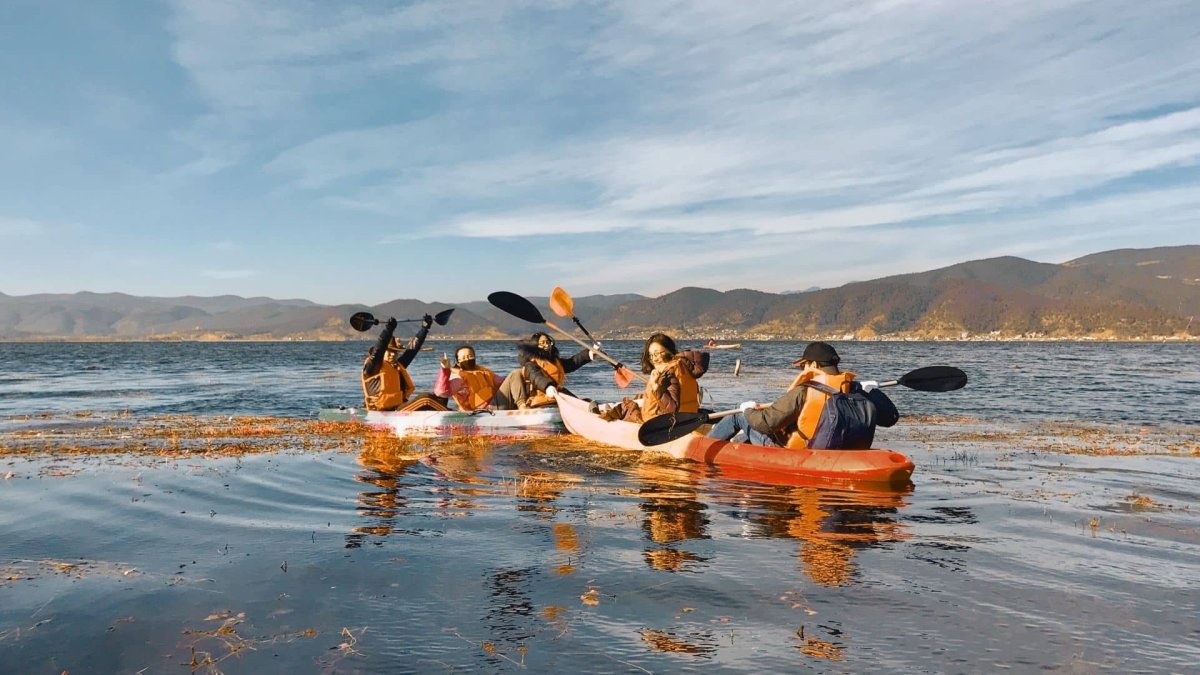 Kayak "best of Kayak"