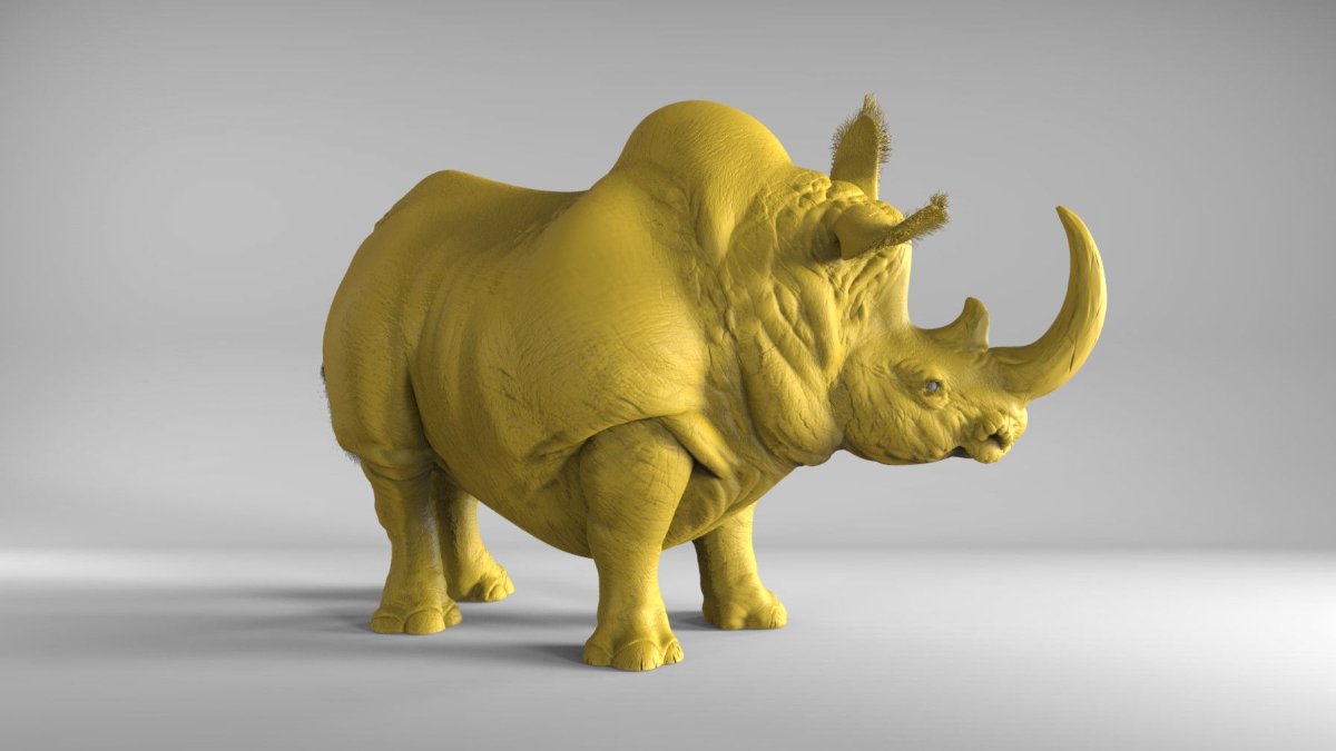Rhinoceros 3d Interior