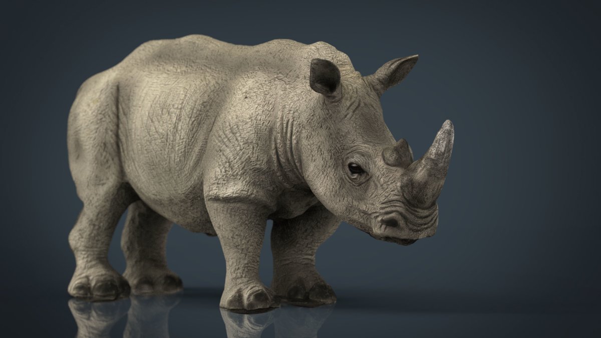 Grosopher Rhinoceros